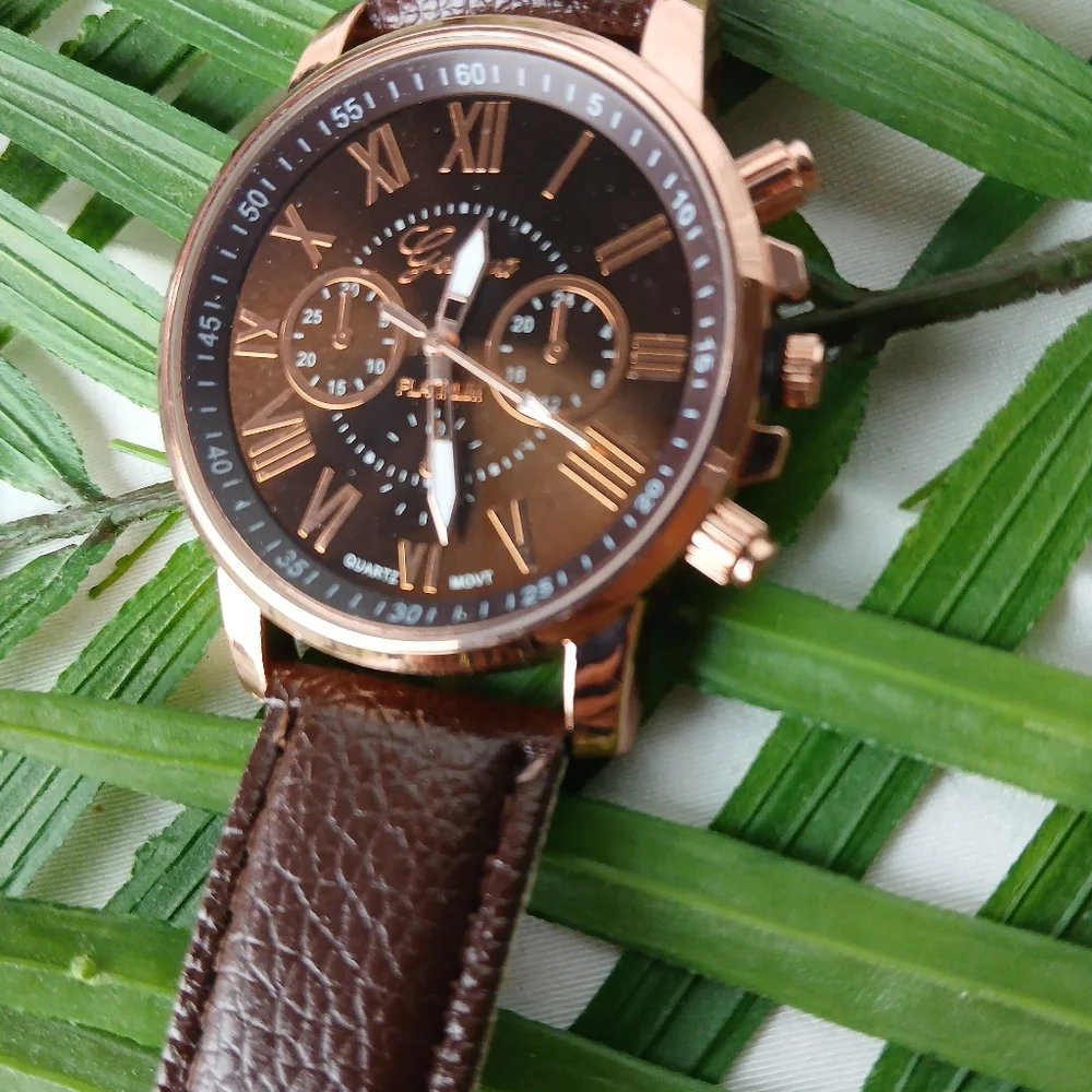 New Brown Geneva Platinum Watch